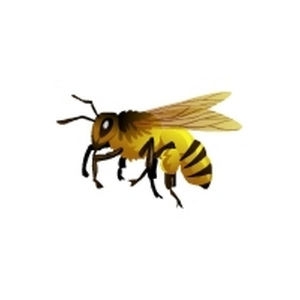 Africanized Bumblebee